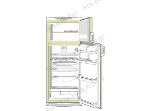 Холодильник Gorenje RF6325C (157028, HZS3266) - Фото